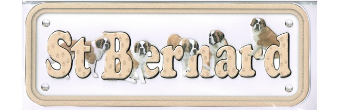 Saint Bernard Saint Bernard